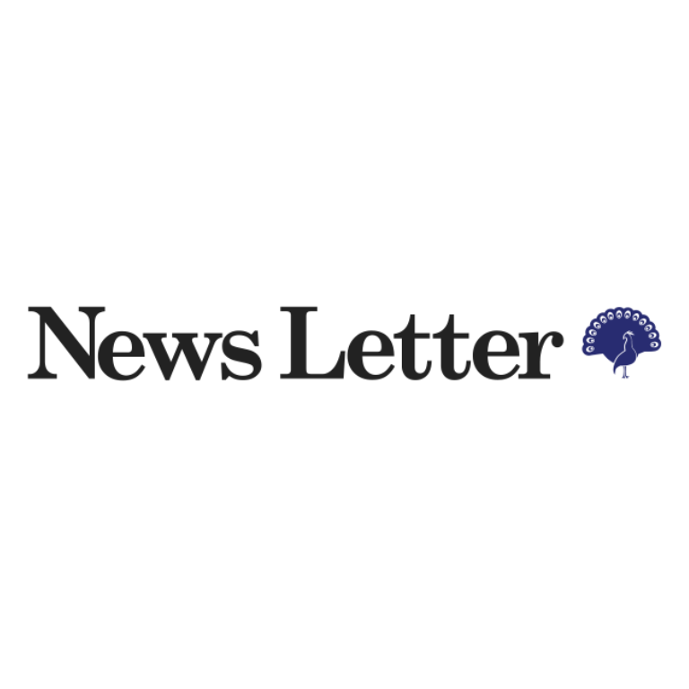 News Letter logo